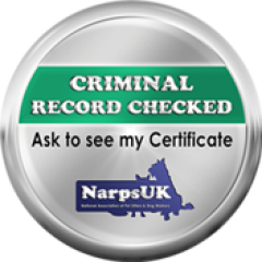 criminal record checked