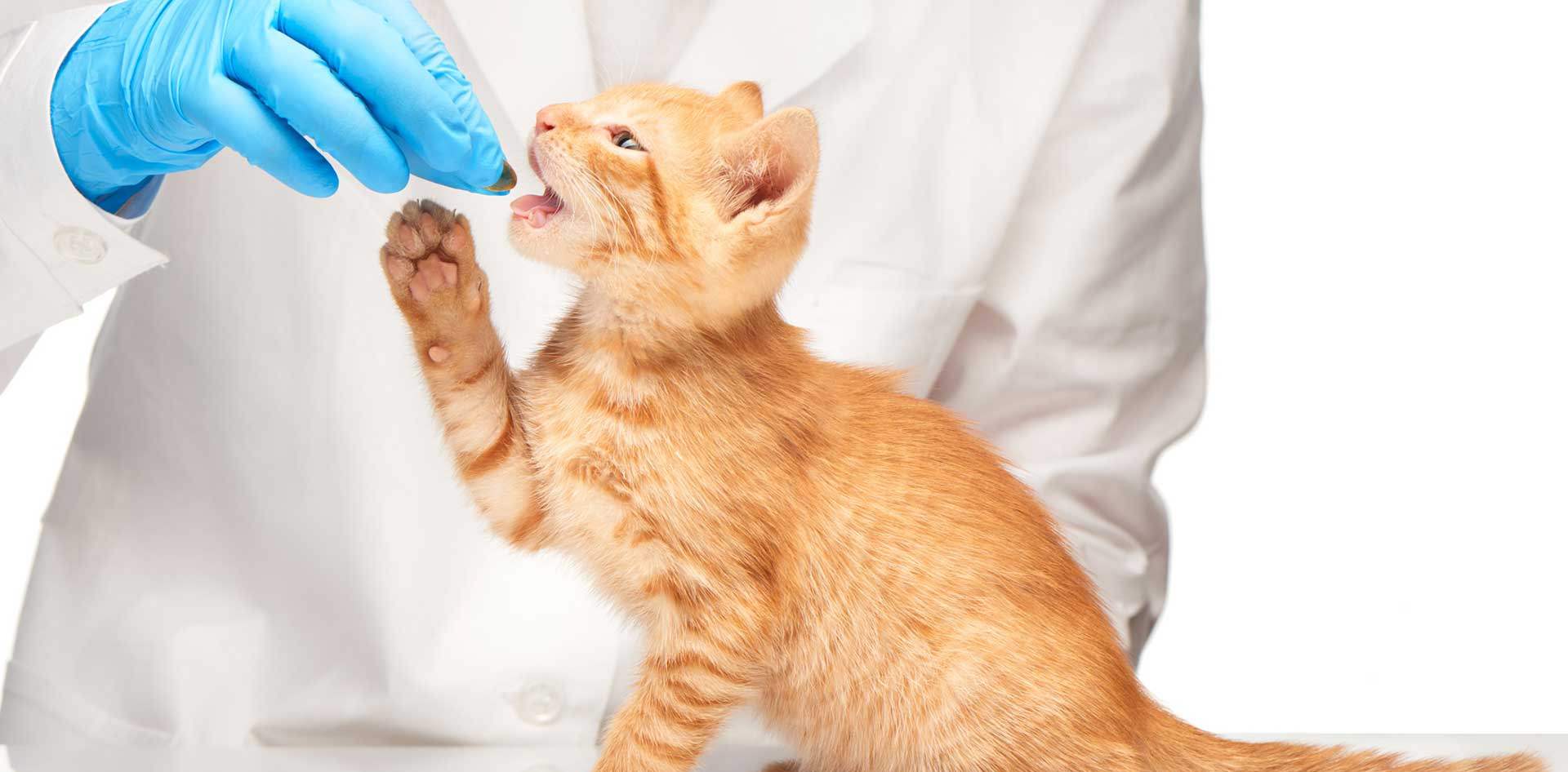 medication administration
