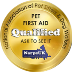 pet first aid