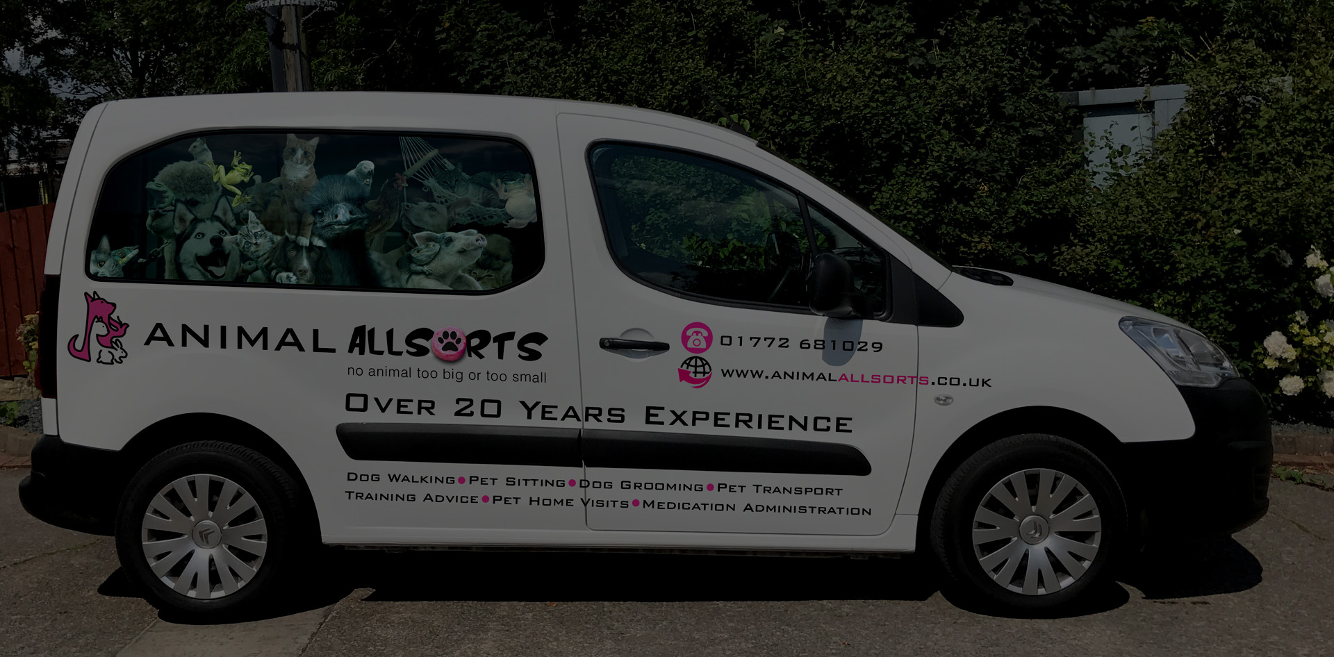 pet transportation
