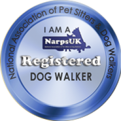 registered dog walker
